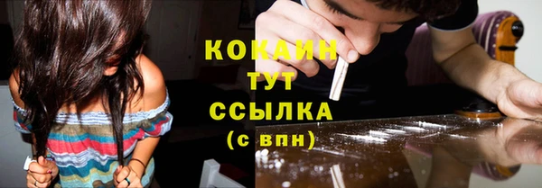 гидра Покровск