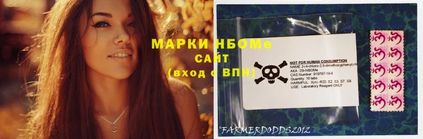 гидра Покровск