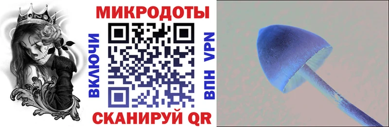 Галлюциногенные грибы Cubensis  Купить закладки  Черняховск 